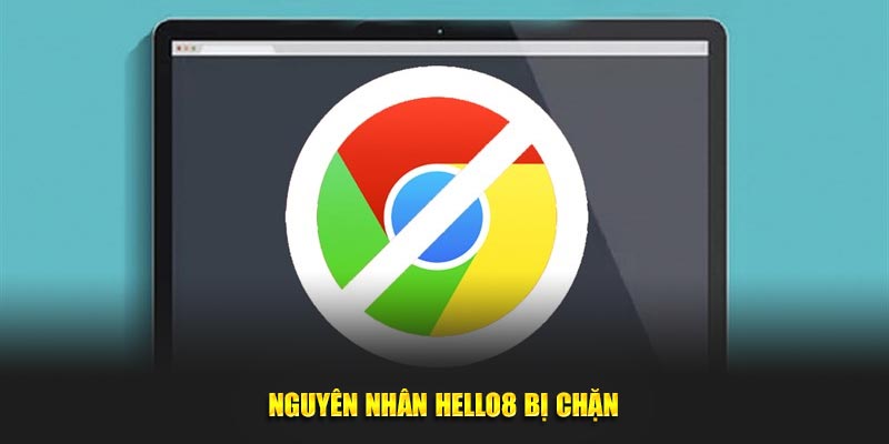 Nguyên nhân Hello8 bị chặn